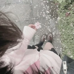 عکس والرین