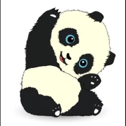 عکس پاندا🐼🐼