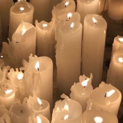 عکس علت وجود مرگ و زندگی در جهان؟