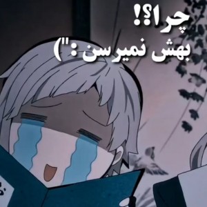 سگهای ولگرد بانگو🤭