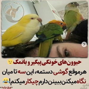 عکس 🐶حیوون خونگی های باحال🐶