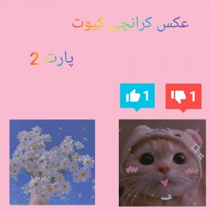 عکس عکس کرانچ کیوت2