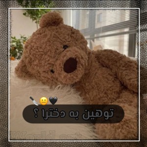 عکس توهین به دخترا ' کاربر تستچی