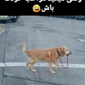عکس طنز 😂
