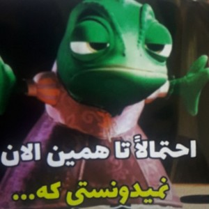 عکس احتمالا نمیدونستی که.....