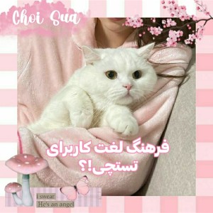 عکس فرهنگ لغت کاربرای تستچی!