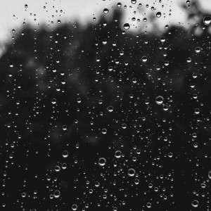 عکس عکس های کیوت