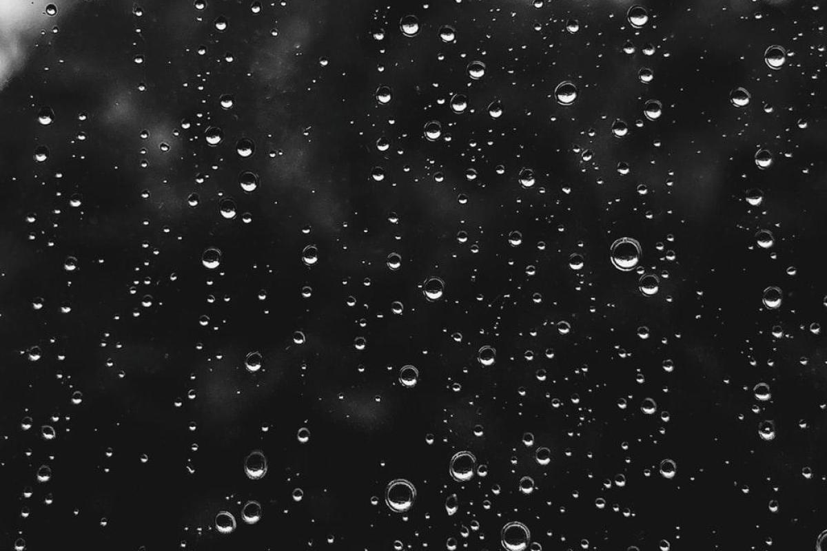 عکس عکس های کیوت