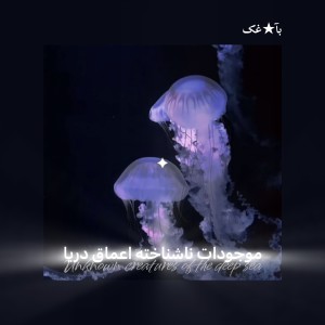 عکس ‹ ✶ موجودات‌ اعماق‌ دریا ✶ ›