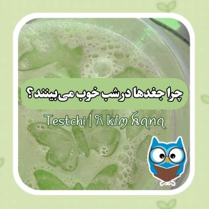عکس چرا جغد‌ها در شب خوب می‌بینند ؟