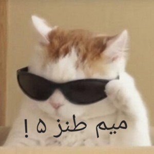 عکس میم طنز ۵
