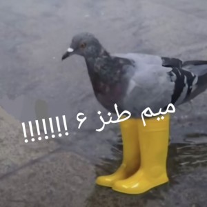 عکس میم طنز ۶!!