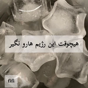 عکس هیچ وقت این رژیم ها رو نگیر