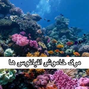 عکس مرگ خاموش اقیانوس‌ها