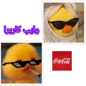 عکس وایپ کاربرا