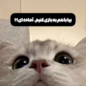 عکس بیا باهم یه بازی بکنیم‌. آماده ای؟