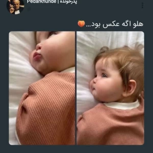عکس میمعلی ۸۷