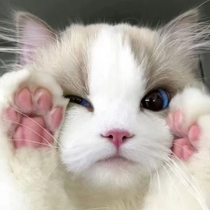 عکس ★𝓂𝒴 𝒷𝒾ℴ★