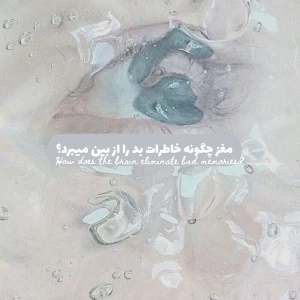 عکس مغز چگونه خاطرات بد را از بین میبرد؟