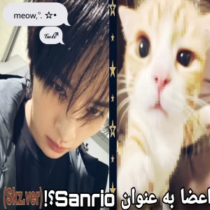 عکس اعضا به عنوان sanrio ((همون هلو کیتی و دوستان خودمون))