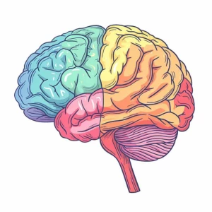 عکس حافظه ی کاذب