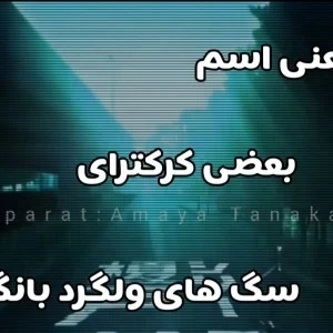 عکس معنی اسم کارکتر های بانگو