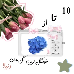 عکس 10 تا از زیباترین گل ها! »