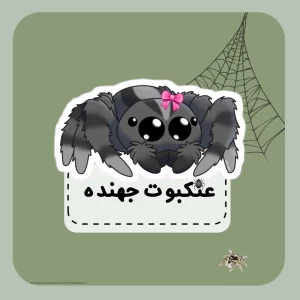 عکس عنکبوت جهنده
