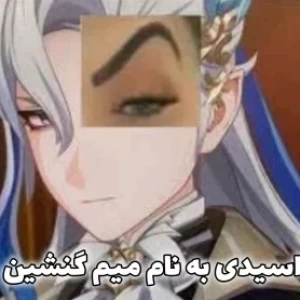 عکس اندکی میم رندوم از گنشین p1