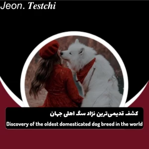 عکس کشف قدیمی‌ترین نژاد سگ اهلی جهان