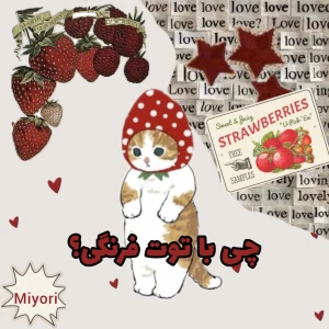 عکس چی با توت فرنگی؛