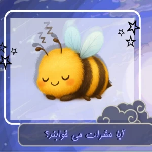 عکس آیا حشرات می خوابند؟