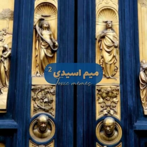 عکس میم اسیدی²