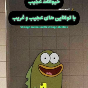 عکس حیوانات معمولی اما خاص