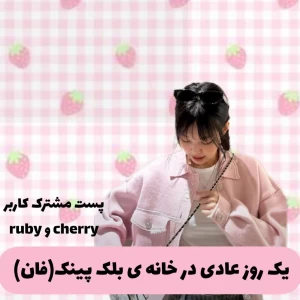 عکس یک روز عادی در خانه بلک پینک(فان)