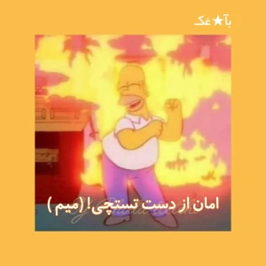 عکس امان از دست تستچی! ( میم )