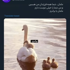 عکس توییت وطنز ۶