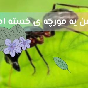 عکس من یه مورچه ی خسته ام...🌙