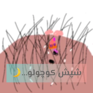 عکس شپش کوچولو