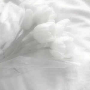عکس (مرثیه ای برای بی رنگی)