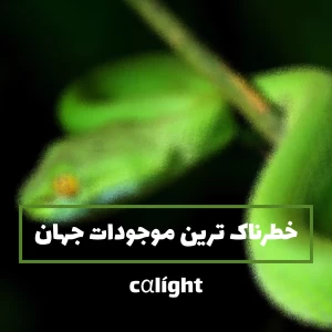 عکس خطرناک ترین موجودات جهان