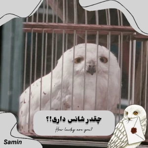 عکس چقدر شانس داری؟ p2