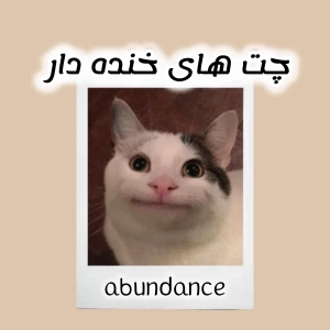 عکس چت های خنده دار ۸