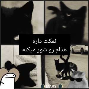 عکس نمکت داره غذام رو شور میکنه