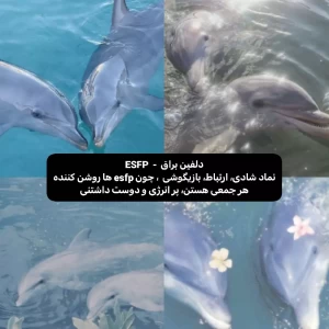 عکس بریم ببینیم پاترونست بر اساس تایپت چیه