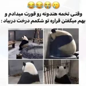 عکس میم هایی که هممون تجربه کردیم