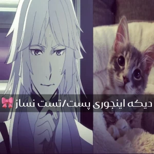 عکس دیگه اینجوری پست/تست نساز!
