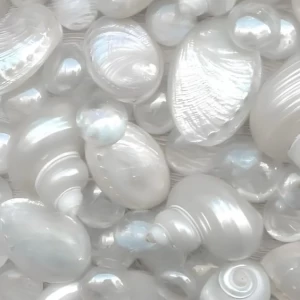 عکس (مرثیه ای برای گناهان)