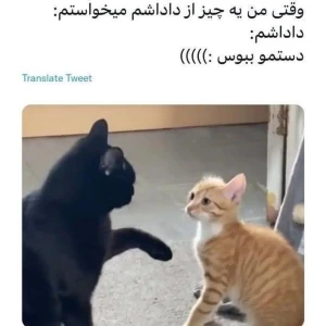 عکس توئیت