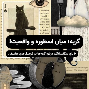 گربه؛ازاسطوره تا واقعیت!